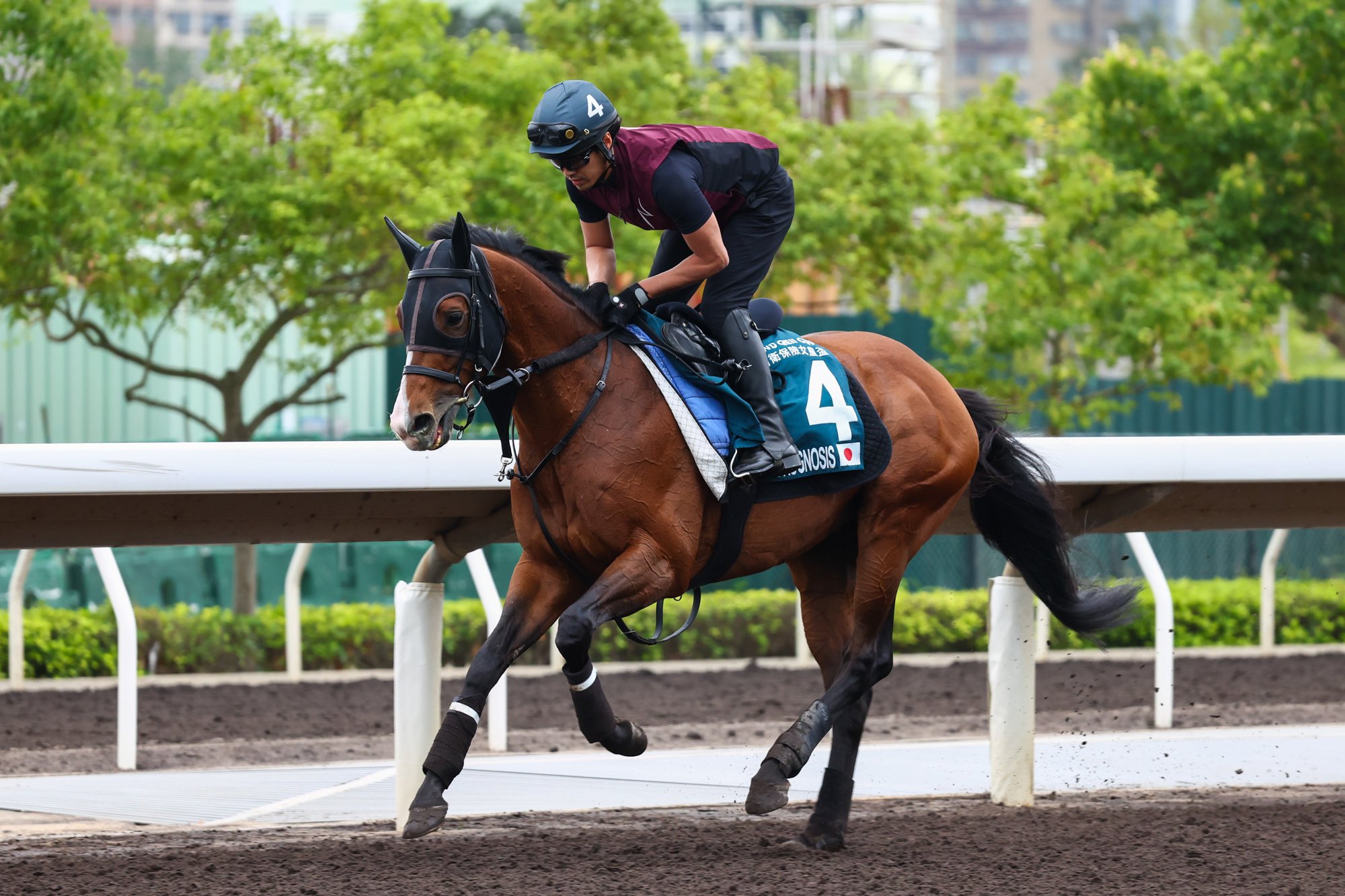 HKJC Racing on X: 
