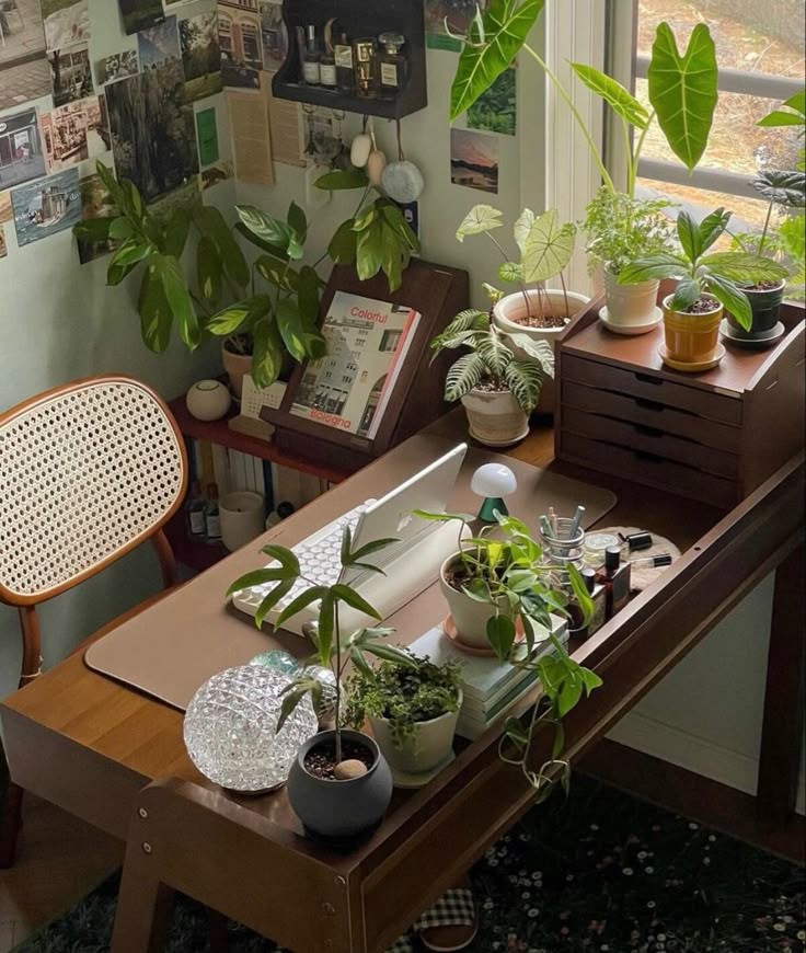 مكتب 🌿