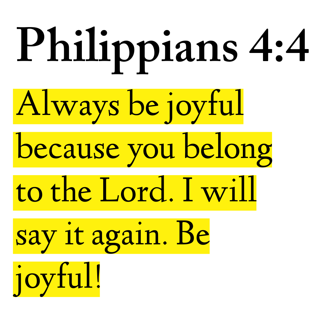 Holy Bible tweet media