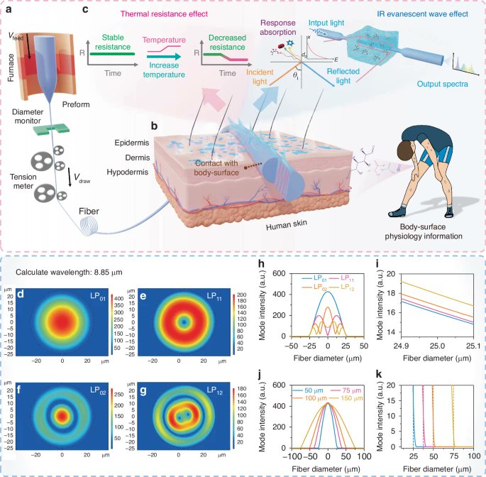 LightSciAppl's tweet image. #LSA_Highlight: [Research Article] Unlocking body-surface physiological evolution via IR-temperature dual sensing with single chalcogenide fiber. @Ningbo_Uni #Mid-infrared_photonics #Optical_sensors
nature.com/articles/s4137…