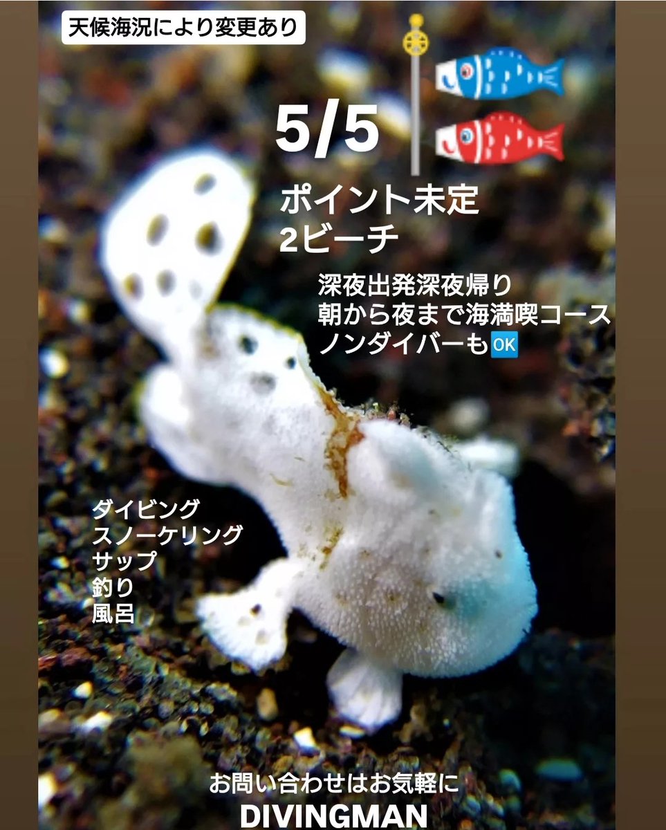 DivingmanH's tweet photo. もうすぐGW
ノンダイバーも🆗
お一人様も🆗
#ダイビング
#群馬ダイビング
#群馬
#埼玉
#高崎 
#前橋
#伊勢崎
#太田
#桐生 https://t.co/gncUbyitpU