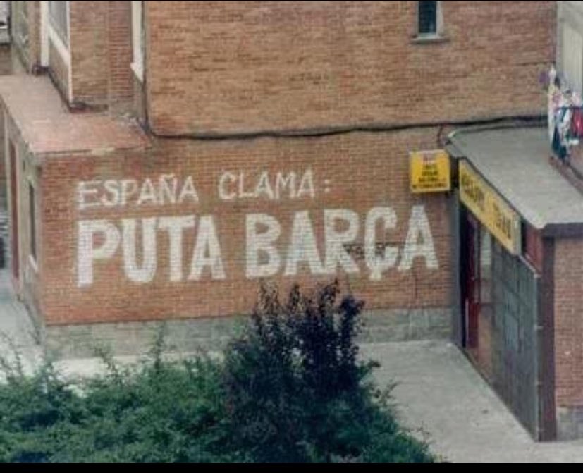 albaa02___'s tweet photo. Hoy y siempre 🤍 https://t.co/JCqnIHij9g