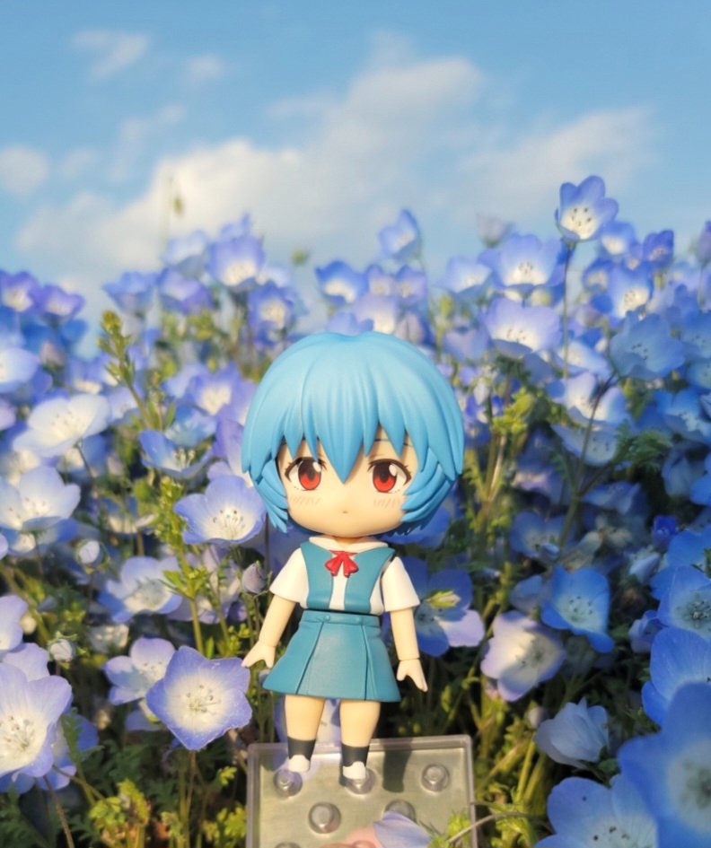 [野外撮影] 📸🥰