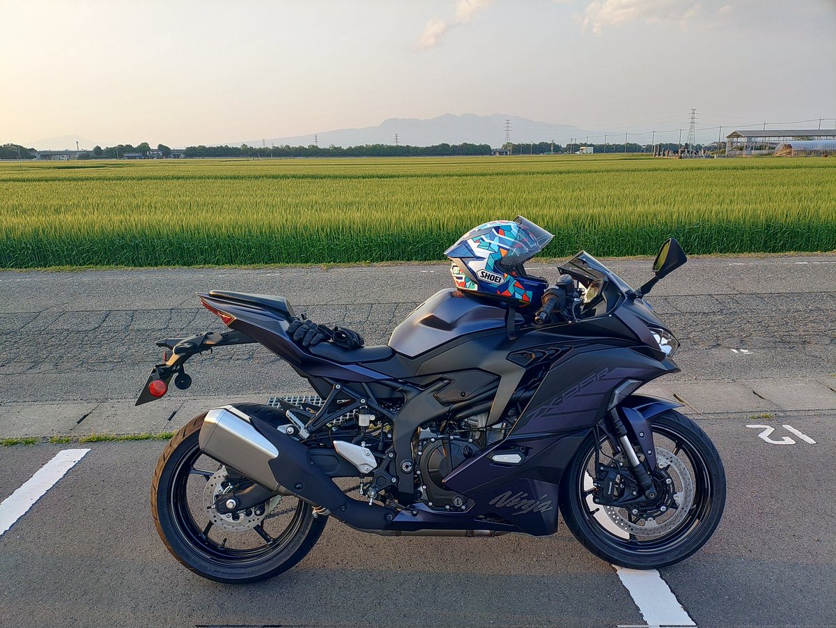 🌞kohi🏍³₃貂R🌝 on X: 🌞kohi🏍³₃貂R🌝 on X: