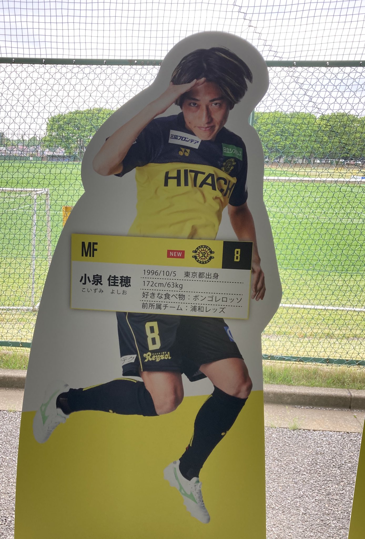 Amazon.co.jp: 浦和レッズ 8 小泉佳穂 スーパー.Bigアクリル