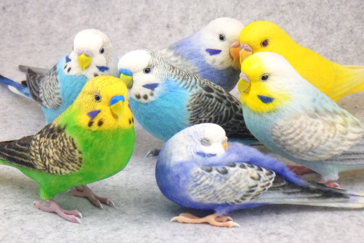 斉藤 貴之 (@p_c_craft) / Posts / X