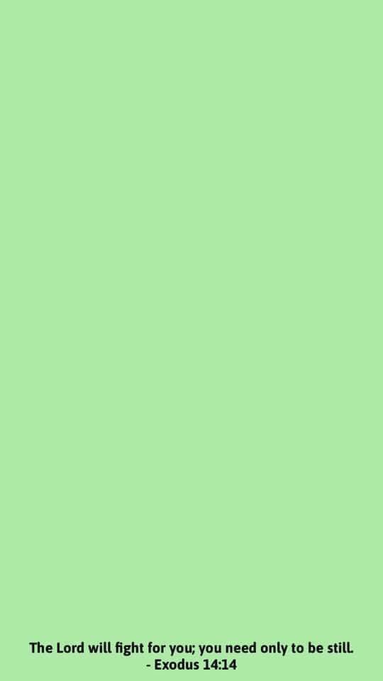 churchtalkative's tweet photo. choose a colour and open it 🤍 https://t.co/A21nEp2U8G