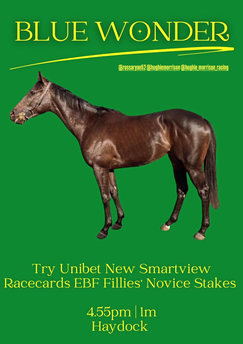 ThurloeThoroughbreds (@thurloethbreds) on Twitter photo We are excited to get BLUE WONDER out on the grass for the first time today <a href="/haydockraces/">Haydock Park Races</a> - good luck team <a href="/Summerdown1997/">Hughie Morrison Racing</a> & <a href="/Rossaryan15/">Rossa Ryan</a> βοΈ We are excited to get BLUE WONDER out on the grass for the first time today <a href="/haydockraces/">Haydock Park Races</a> - good luck team <a href="/Summerdown1997/">Hughie Morrison Racing</a> & <a href="/Rossaryan15/">Rossa Ryan</a> βοΈ