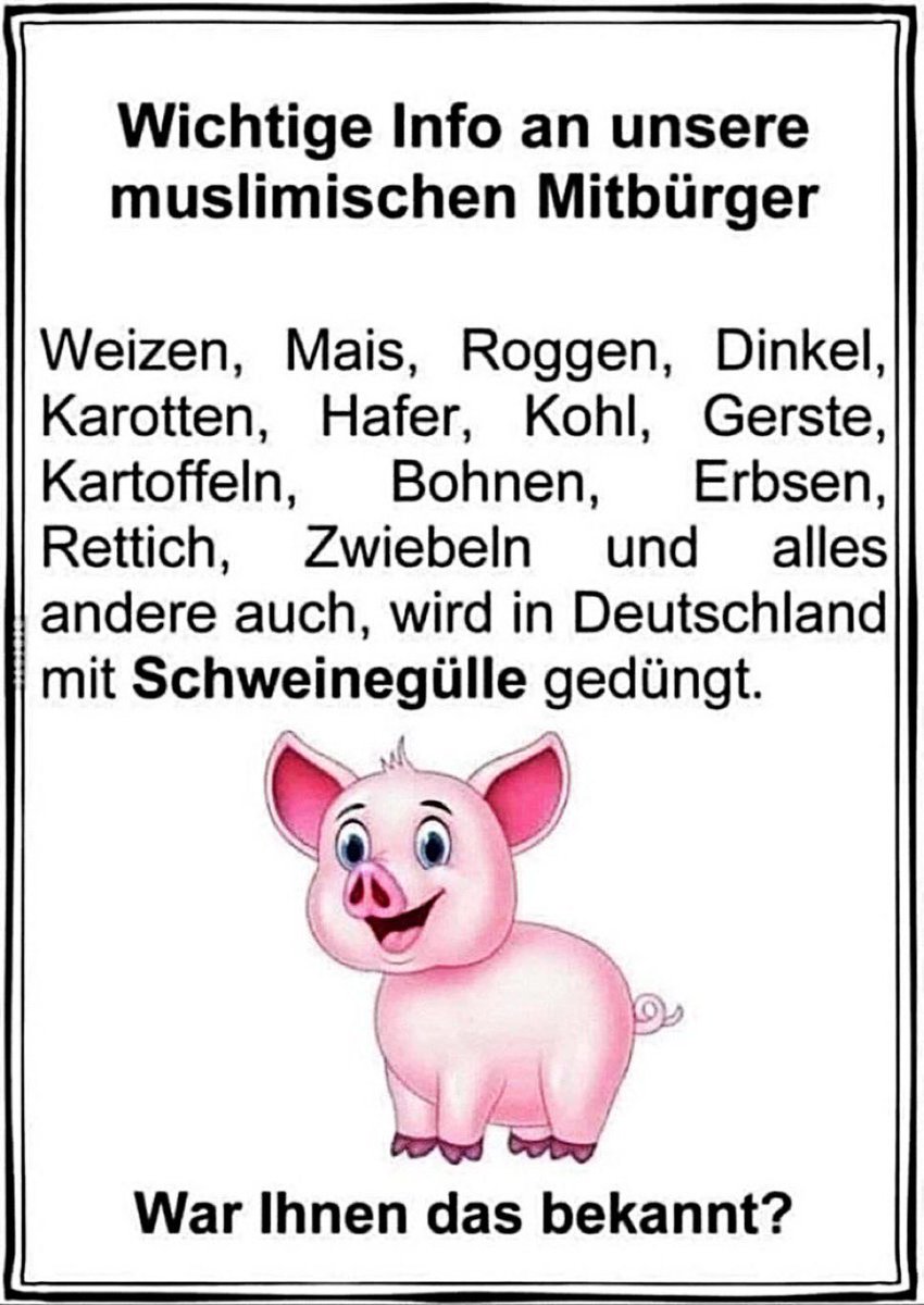 MedienfuzziShow's tweet image. 