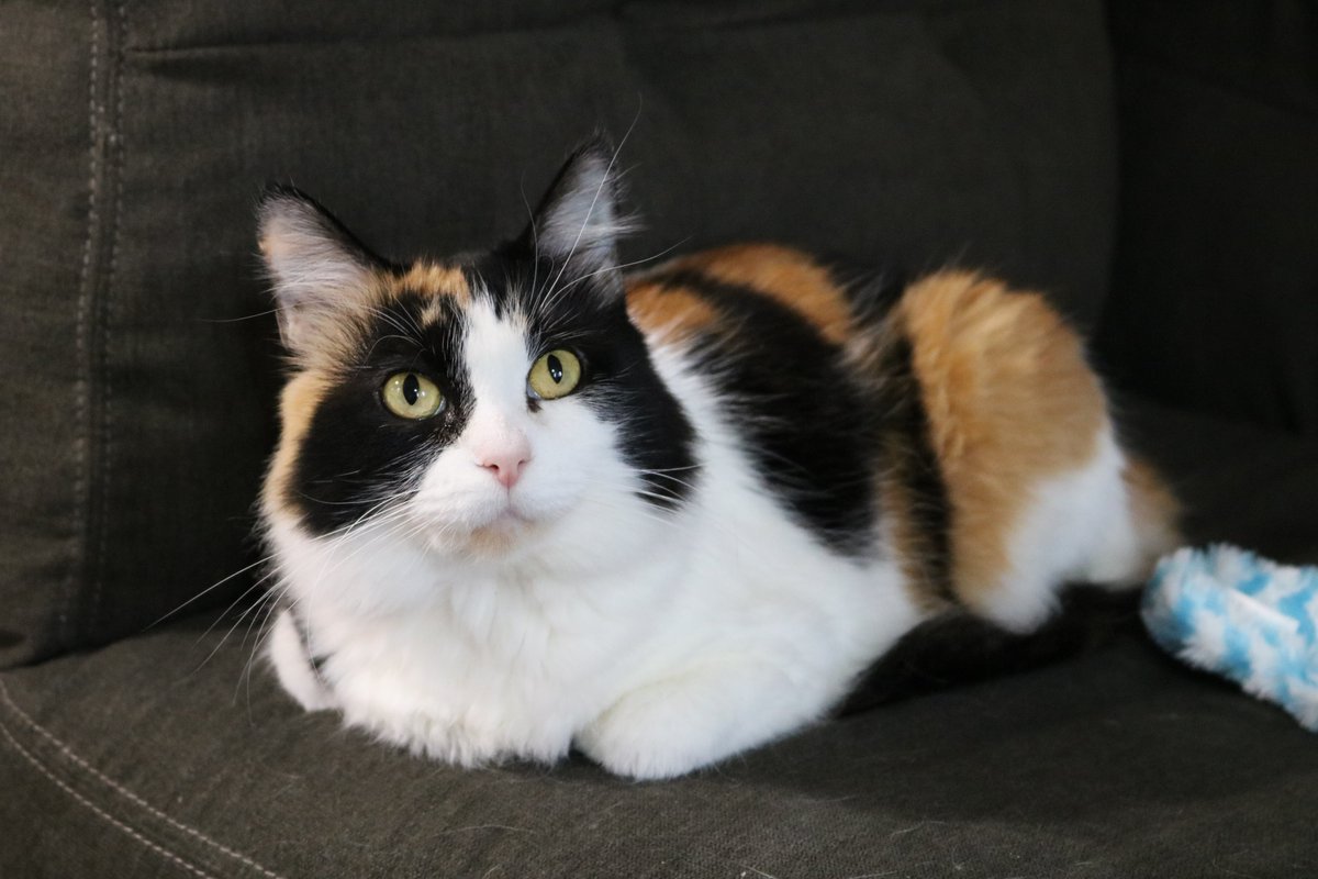 And I miss you..... Like the deserts miss the rain.