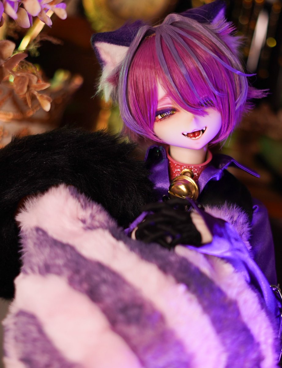 usagimikanchan's tweet photo. 🐈‍⬛🩷

#らびおれっこ
#ミュウミュウチョーカー https://t.co/HwHGtailEo