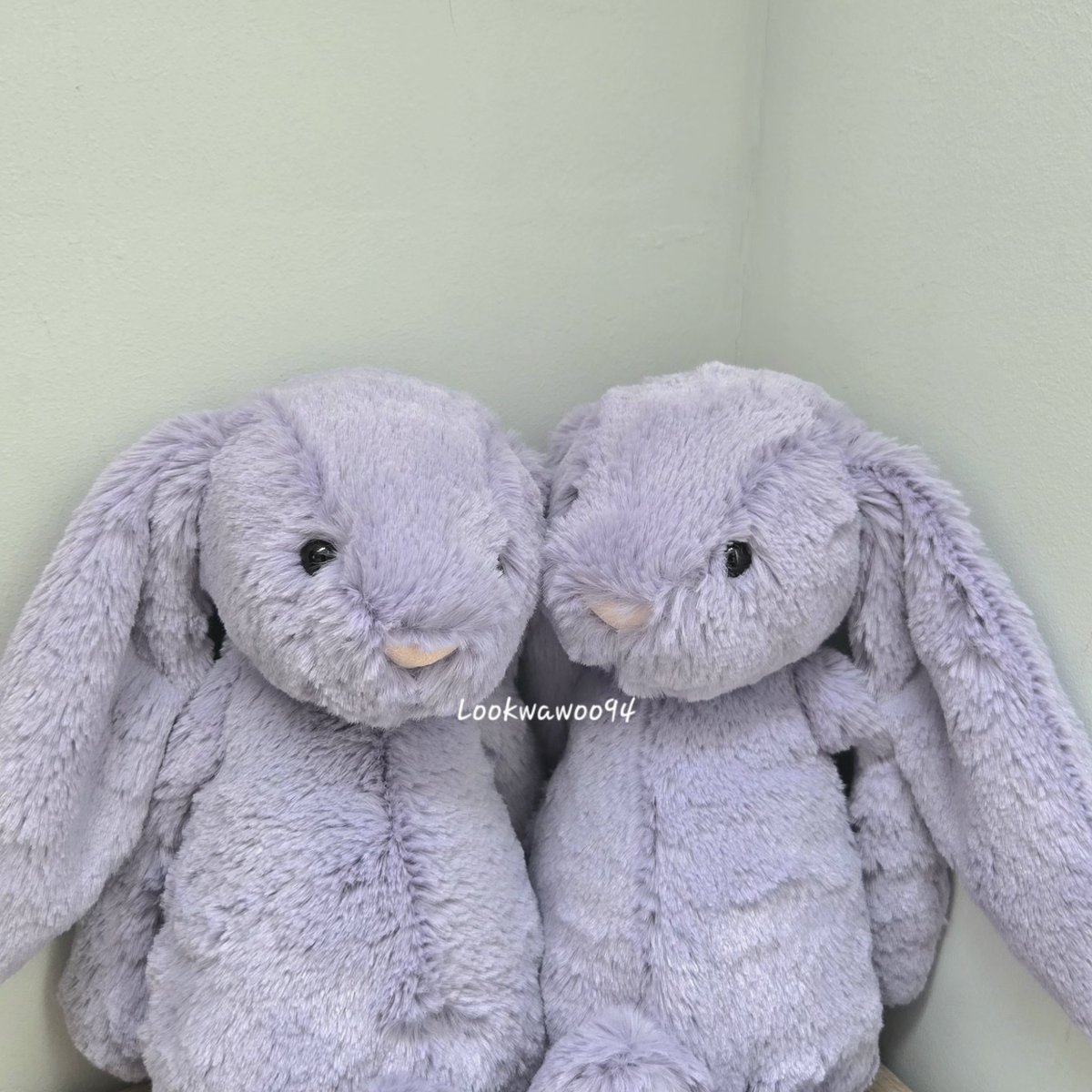 Lookwawoo94's tweet photo. 🐰 รับหิ้ว  jellycat 🐇
🪻Bashful Viola Bunny sizeM🪻
》》 ตัวละ 1500฿ 
เริ่มส่ง 3.7.25 ขอคนรอได้ค่า
☆จอง300 หิ้วไม่ทัน คืนเงินทันที☆
ที่เหลือจ่ายตอนถึงไทยได้ค่ะ 
สนใจ DM งับ
#หิ้วjellycat #พรีjellycat #หิ้วอังกฤษ #พรีอังกฤษ #หิ้วuk #พรีuk #รับหิ้วjellycat #jellycatthailand https://t.co/LaJwtCVbnv