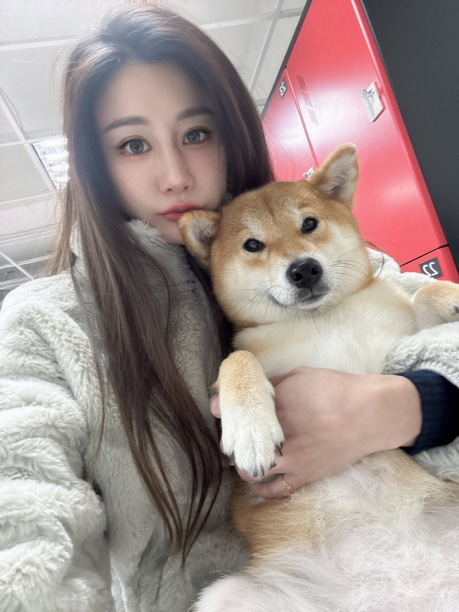 不管了！
先抱再說
這柴也太乖萌了吧😍

#汪汪#嚕狗日常

𝕁𝕍𝕀𝔻 🔍 𝕗𝕒𝕟𝕝𝕒𝕣𝕒𝟙𝟚𝟚𝟛  
【LINE】https://t.co/JHpyc267YW
【JKFace】https://t.co/Z43zkXqPxW https://t.co/XgLQEpqeN6