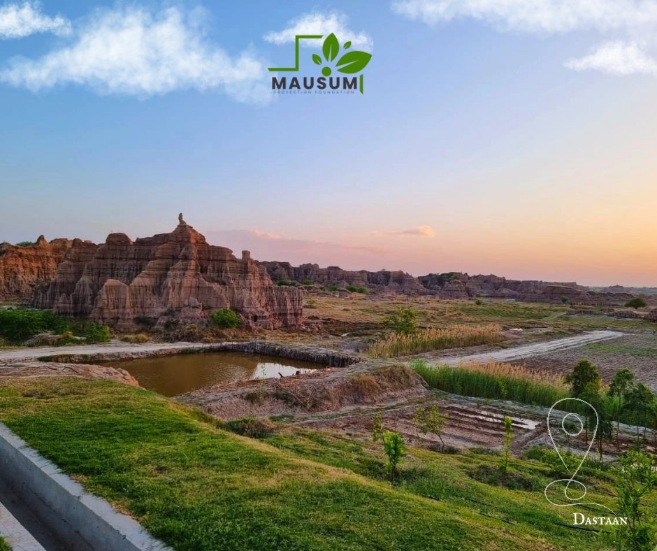 Mausum Mahool Protection Foundation tweet media