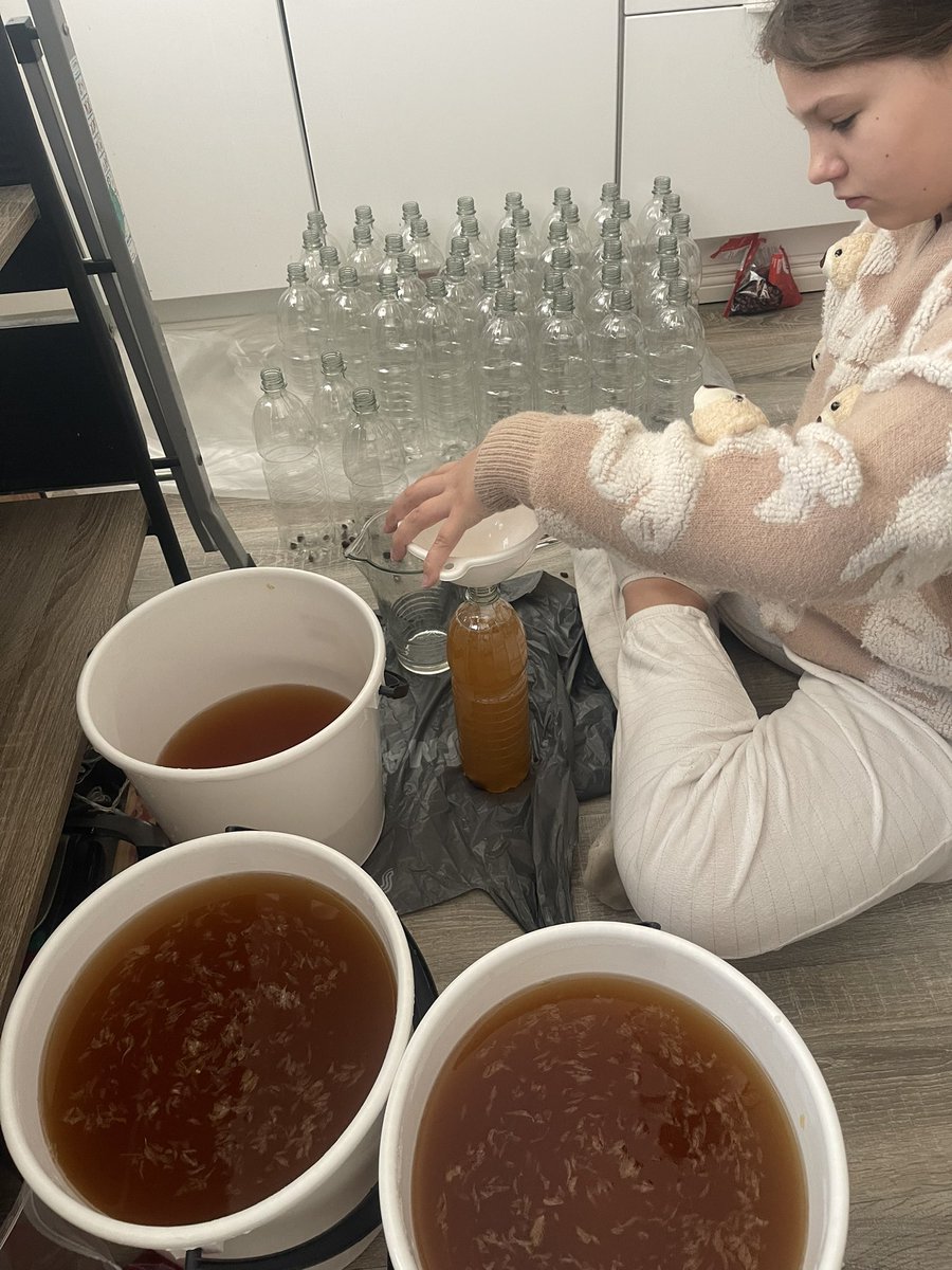 #Muksu pullotti aamulla 52 l simaa ja mietti samalla meneeköhän kaikki kaupaksi. Ensi viikolla hän pitää kolme päivää nouto/myyntipistettä kartuttaakseen matkakassaa 🥰
#muksumatkaan