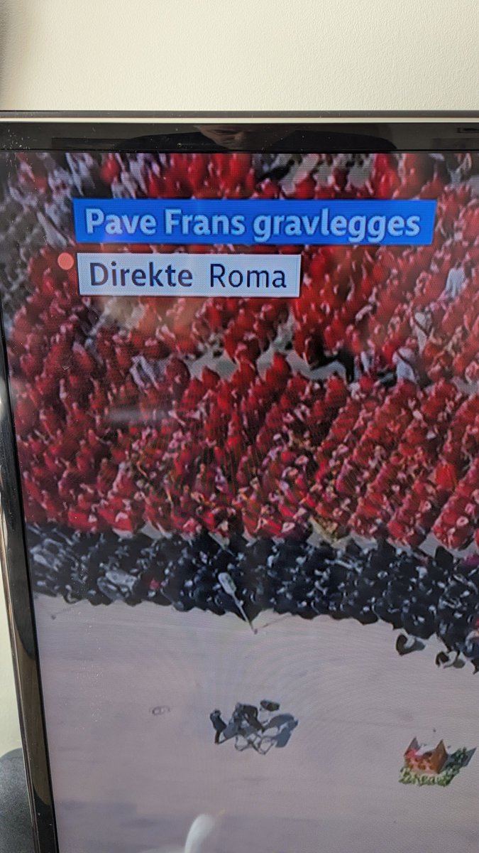 Ronny Dodds Bolsøy tweet media