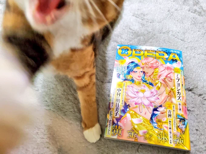 4/30発売のOPERA vol.95の見本誌が届きました。猫エッセイ「麦と米～2匹の猫と暮らす日々」掲載されております。今回は米受難の回です。よろしくお願いいたします🙇 