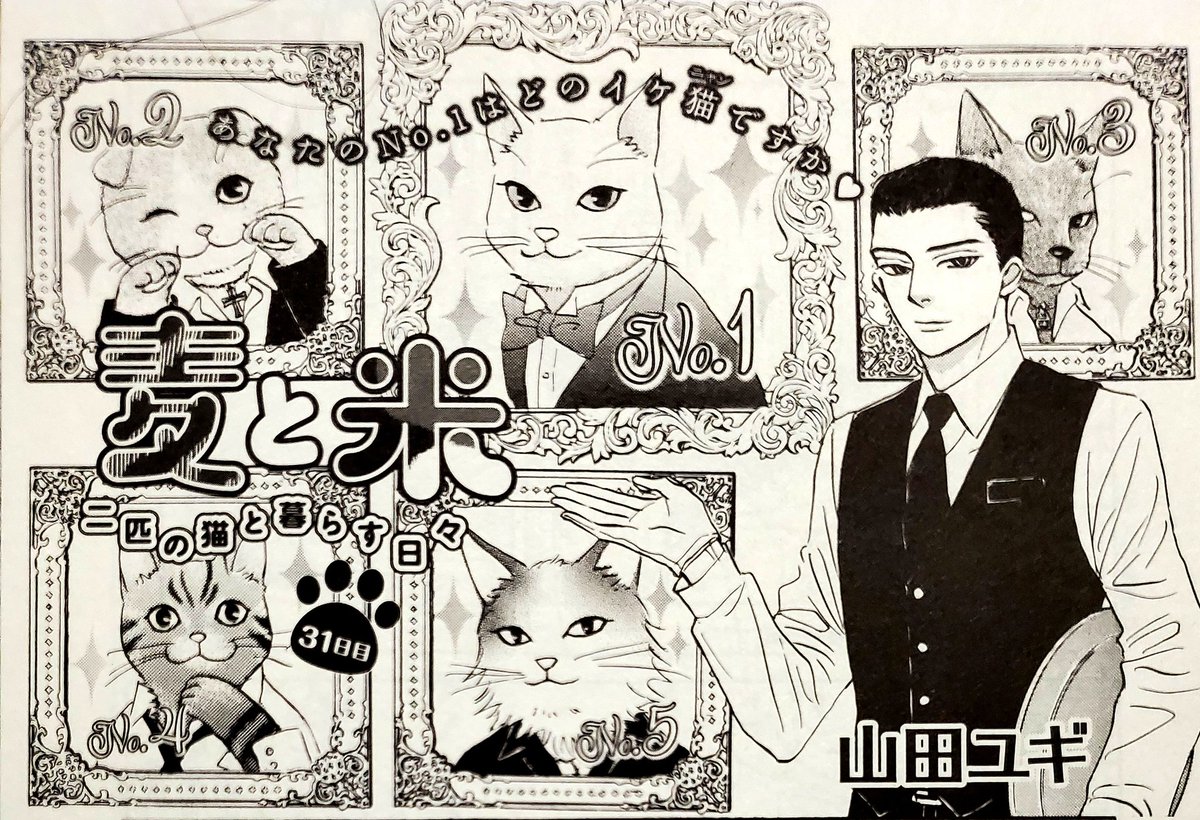 4/30発売のOPERA vol.95の見本誌が届きました。猫エッセイ「麦と米~2匹の猫と暮らす日々」掲載されております。今回は米受難の回です。よろしくお願いいたします🙇