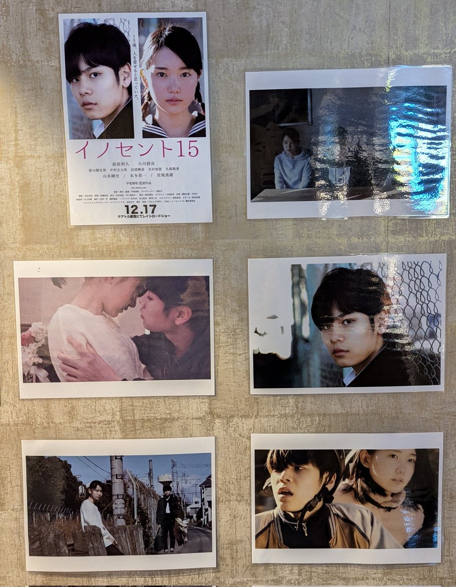 yu_te_ru's tweet photo. 今日のテアトル新宿は天国のようだったな〜
今夜オールナイトで利久くん特集やるから、パネルがたくさん貼り出されてた。
エターナルのパンフレットも買えました🙌
#美しい彼
#エターナル 
#イノセント15 
#八木勇征
#萩原利久 
#テアトル新宿 https://t.co/fkBK10mCEy