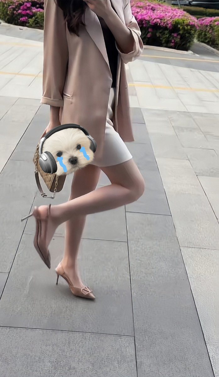 出门一趟，怎么都 盯着我看，有点羞耻 https://t.co/ESh498JJuk