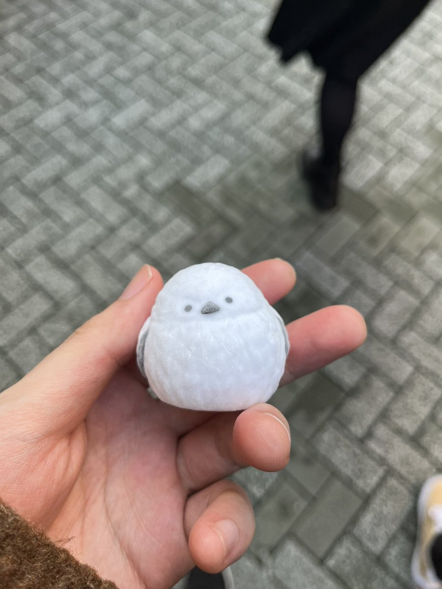 なんか光るらしいけど全然輝かないシマエナガ