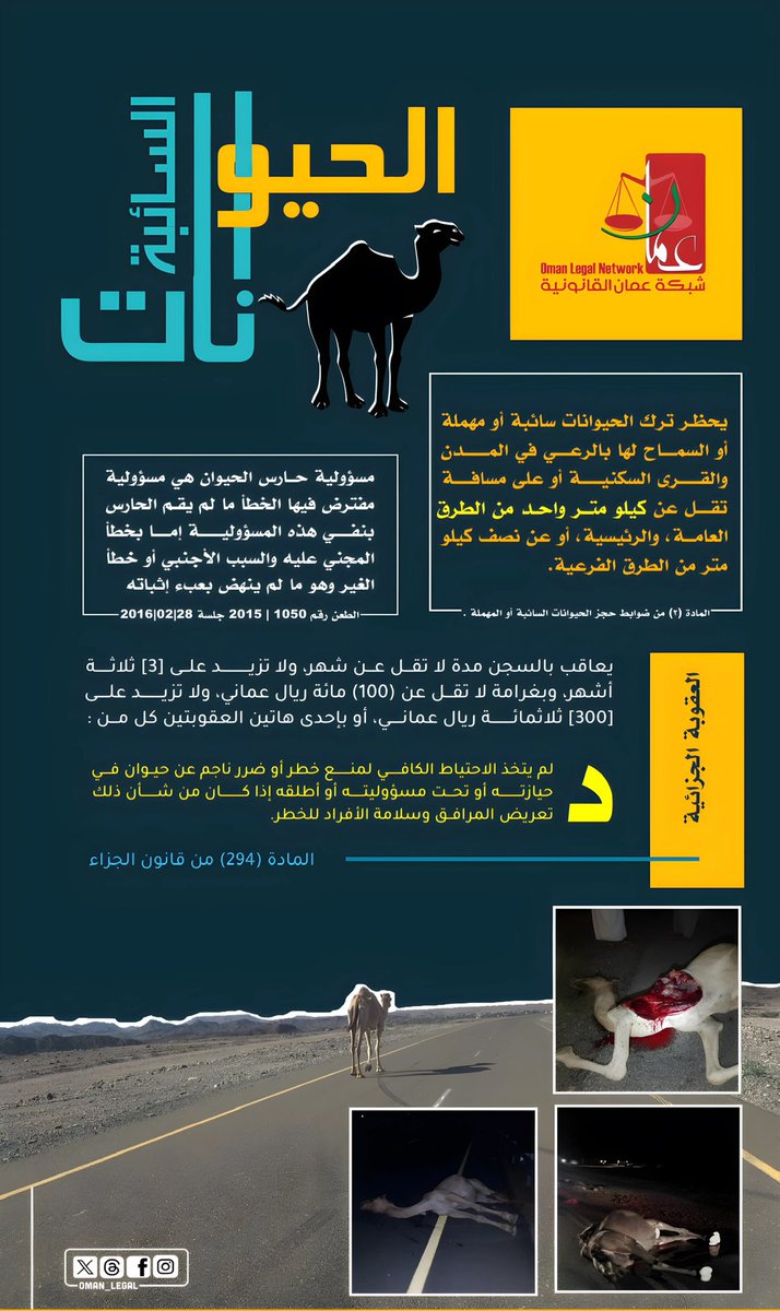 يحظر ترك الحيوانات سائبة أو مهملة، أو السماح لها بالرعي في المدن والقرى السكنية أو على مسافة تقل عن كيلو متر واحد من الطرق العامة، والرئيسية، أو عن نصف كيلو متر من الطرق الفرعية.
~~~~
#شبكة_عمان_القانونية