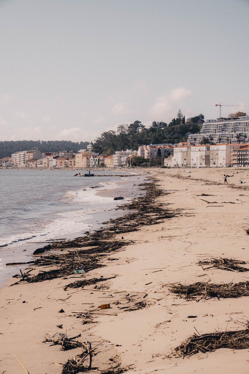 Kilometro Cero tweet media