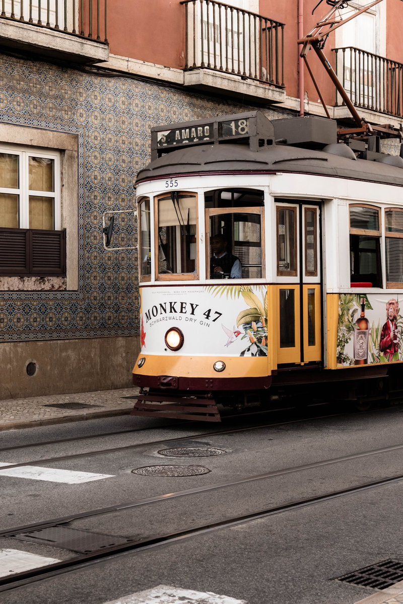 Kilometro Cero tweet media