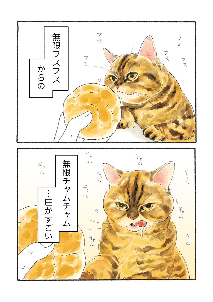 ねこ漫画
常におやつを狙われてます 