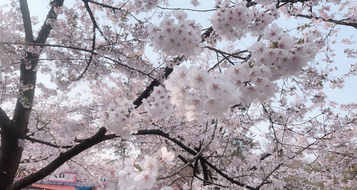 もなか tweet media