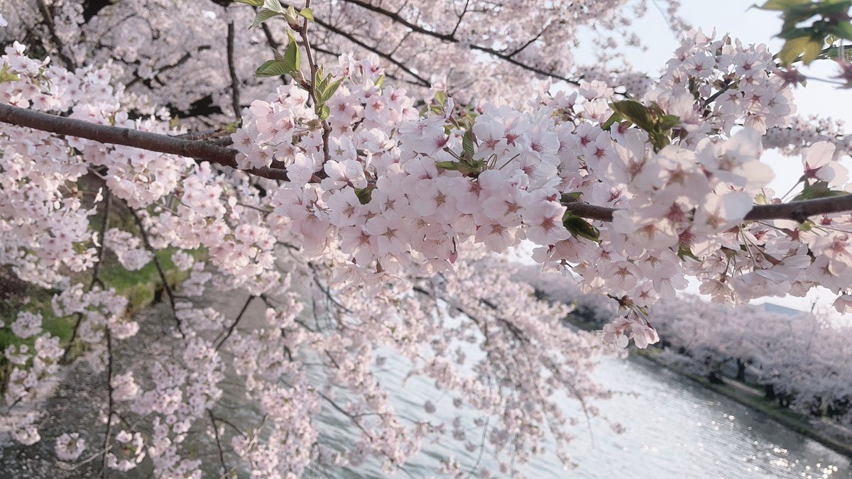 もなか tweet media