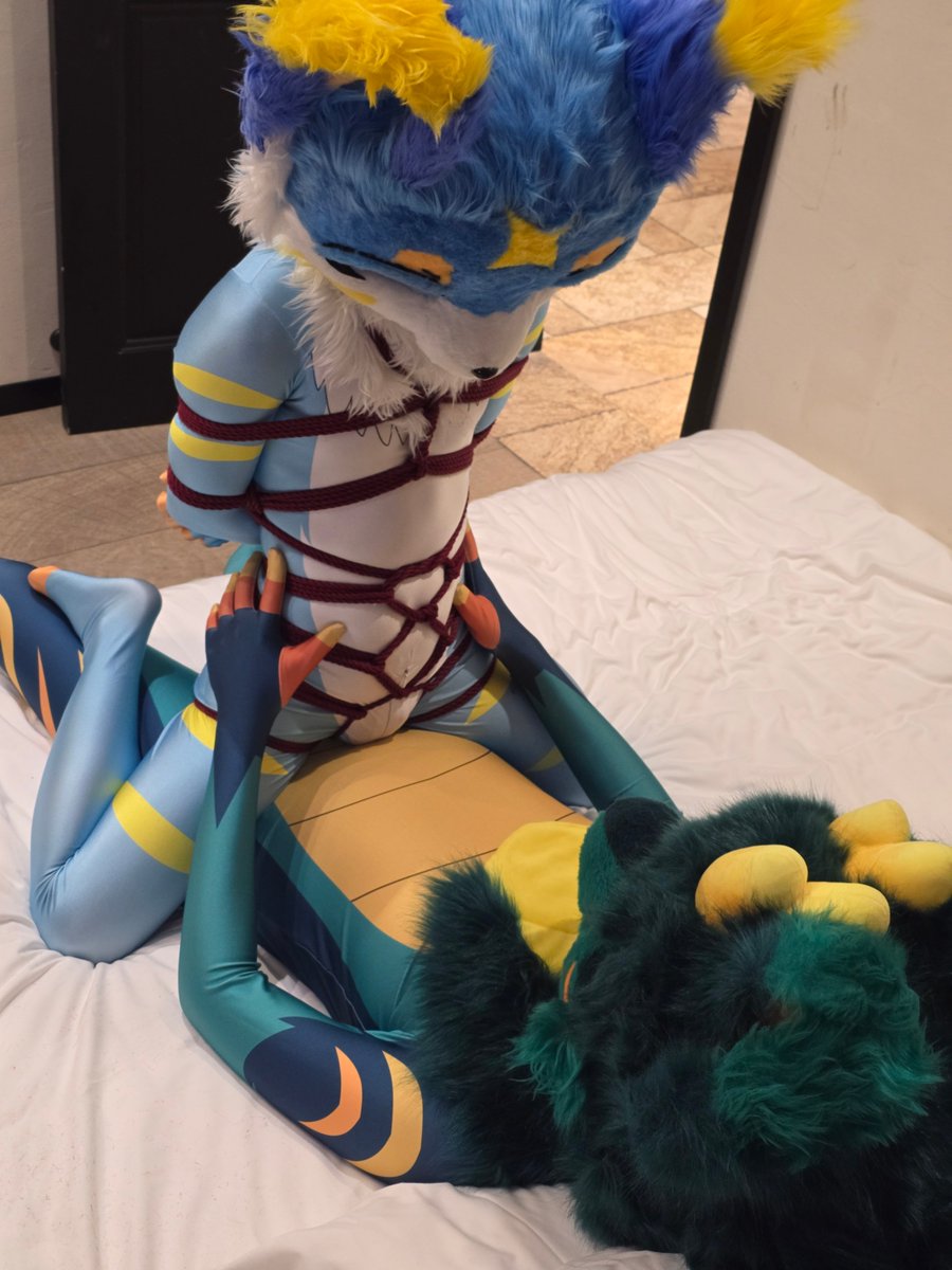 好久没发了发一个
小兽太这可爱<a href="/CAreaylar/">AreaylarCat</a>，角落还有一个？