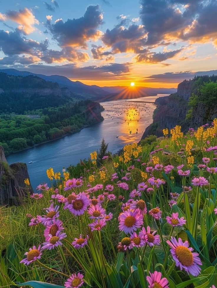 Daina Malik tweet media