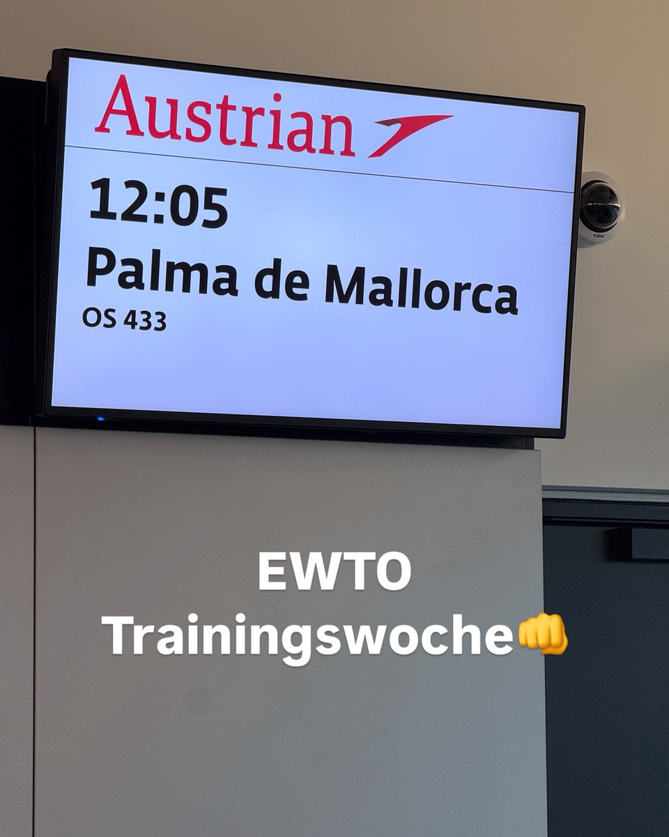 GM_Koenig's tweet photo. Auf geht’s nach Mallorca zur EWTO Trainingswoche! Freue mich auf euch alle! #WingTsun #MagicHands #WTplus Selbstverteidigung https://t.co/evaOPXEx8z
