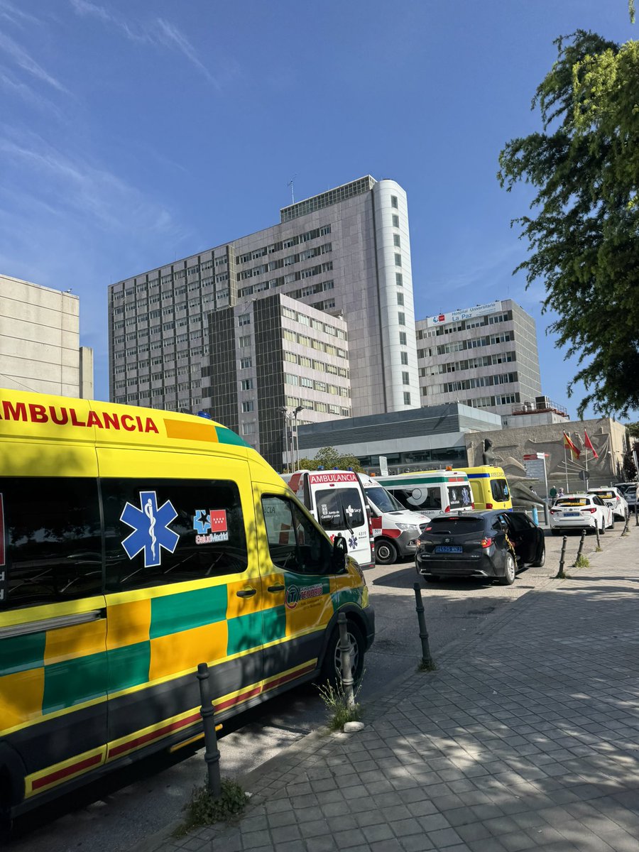 AirwayMxAcademy's tweet photo. Simuvad2025 at Madrid
#simuvad25 #airway https://t.co/KfadcXy6ON