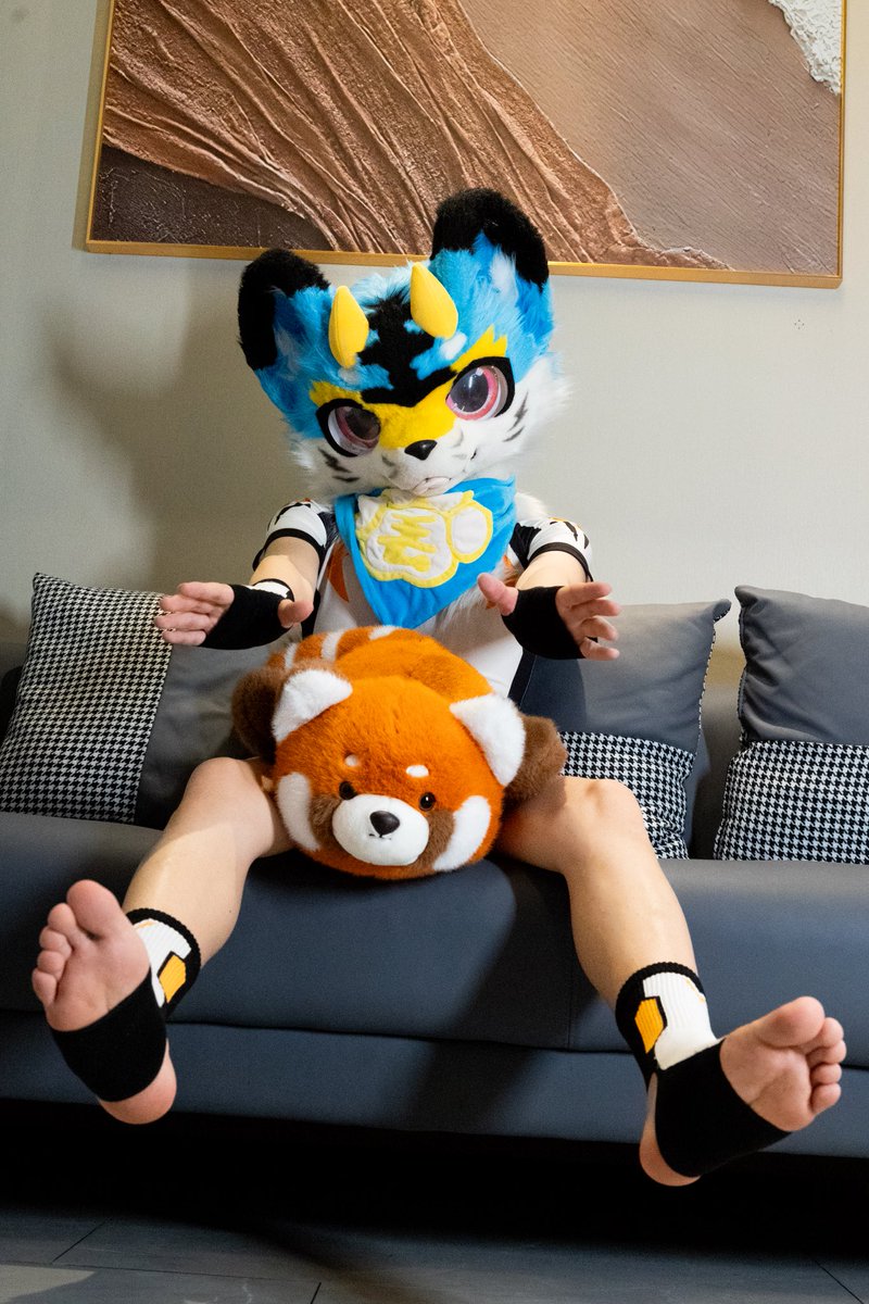 ✧⁺⸜(●˙▾˙●)⸝⁺✧超可爱

📷:<a href="/EthanLi34817689/">小懒XIAOLAN_furry</a>