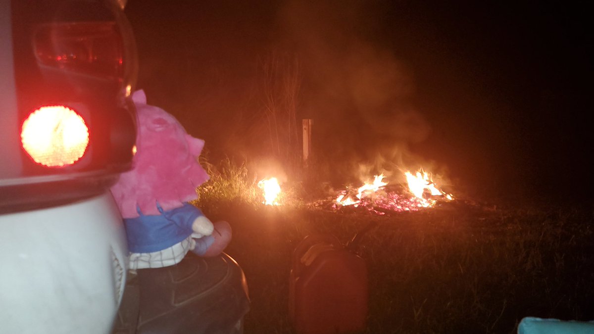RinaToday's tweet photo. ...is at a bonfire! https://t.co/cMe48fi47a
