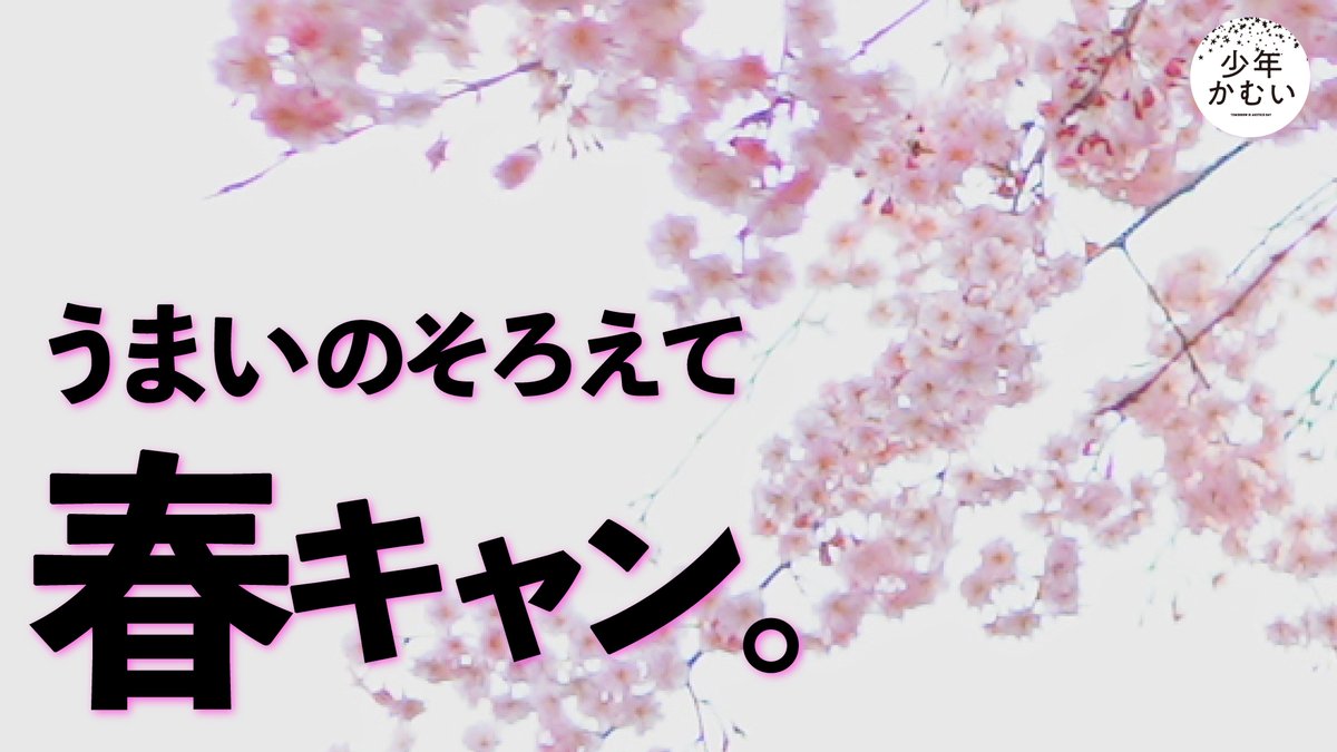 次回予告です！👏