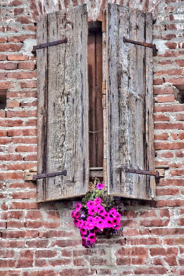 #photography
#photo
#foto
#fotografia

Aprite le finestre al primo sole,
è primavera! 🎶🎶🎶

📷 mia
