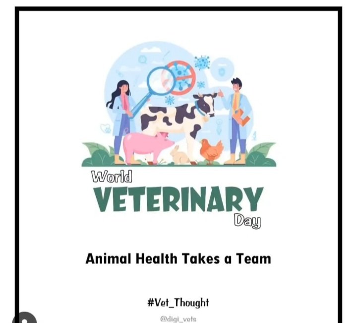 dickson_mathius's tweet photo. " WVD 2025" Animal Health takes a Team https://t.co/XXZXvDWbnY