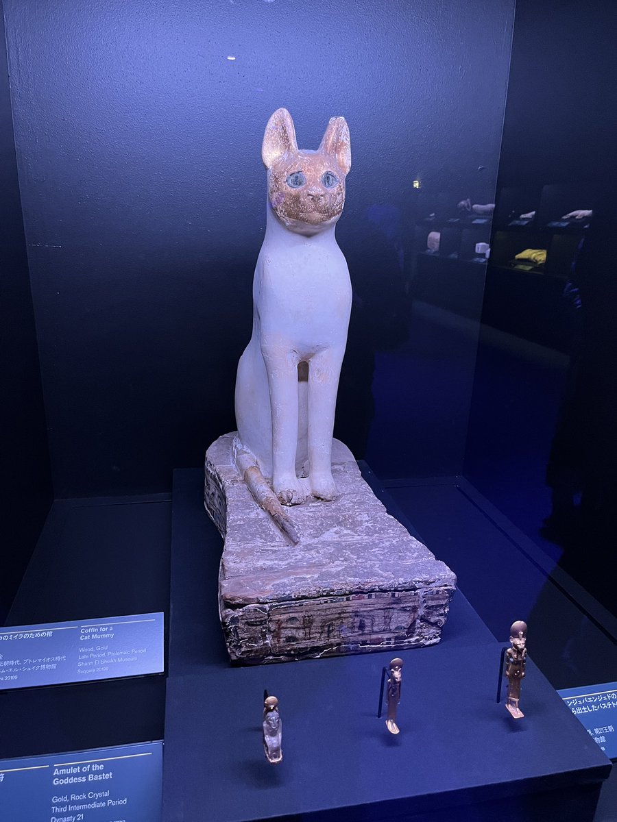 妻の作った ファラオの棺 猫ミイラ 蓋物 陶芸 スプーン 猫のミイラとその棺！ 当時のエジプトは奉納用のミイラ製作が一大産業