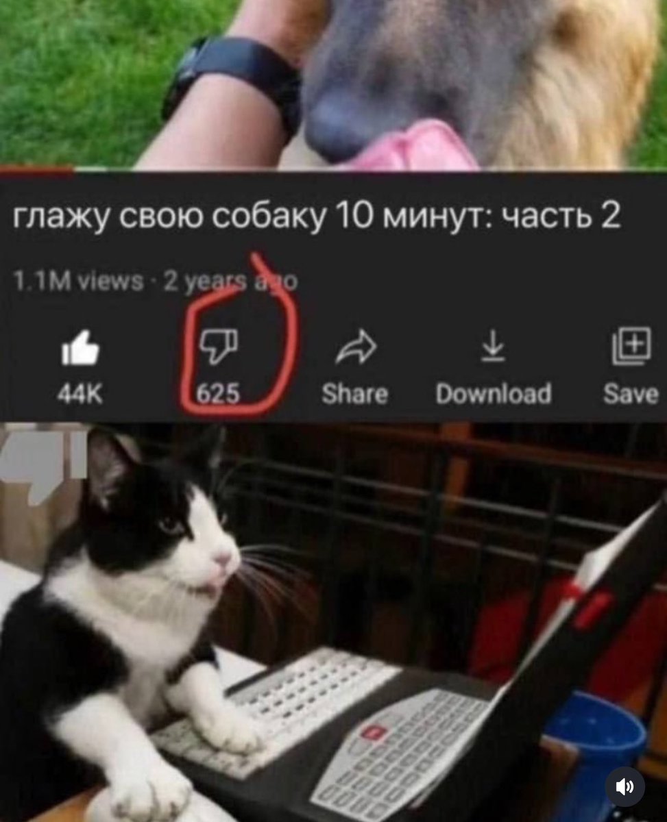 treschenko24's tweet photo. Каждый раз смеюсь с этого мема https://t.co/0FjX9oQiKc