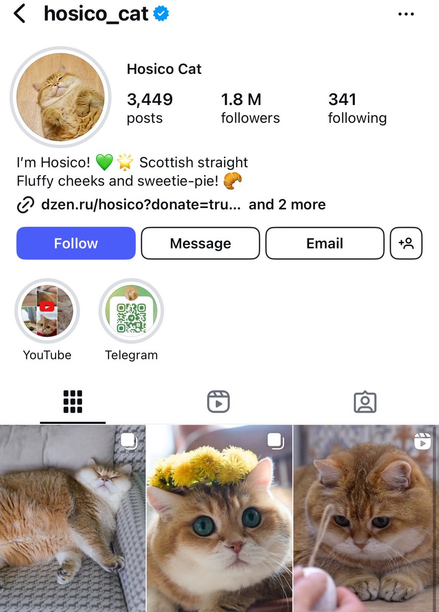 Amoaning_samuel's tweet photo. $Hosico is printing in the trenches .. another one from the @bonkfun &amp; @RaydiumProtocol camp .. looks like it can print pass 20M .. Dude is quite famous out there ..

9wK8yN6iz1ie5kEJkvZCTxyN1x5sTdNfx8yeMY8Ebonk https://t.co/N4VCqqIBC9