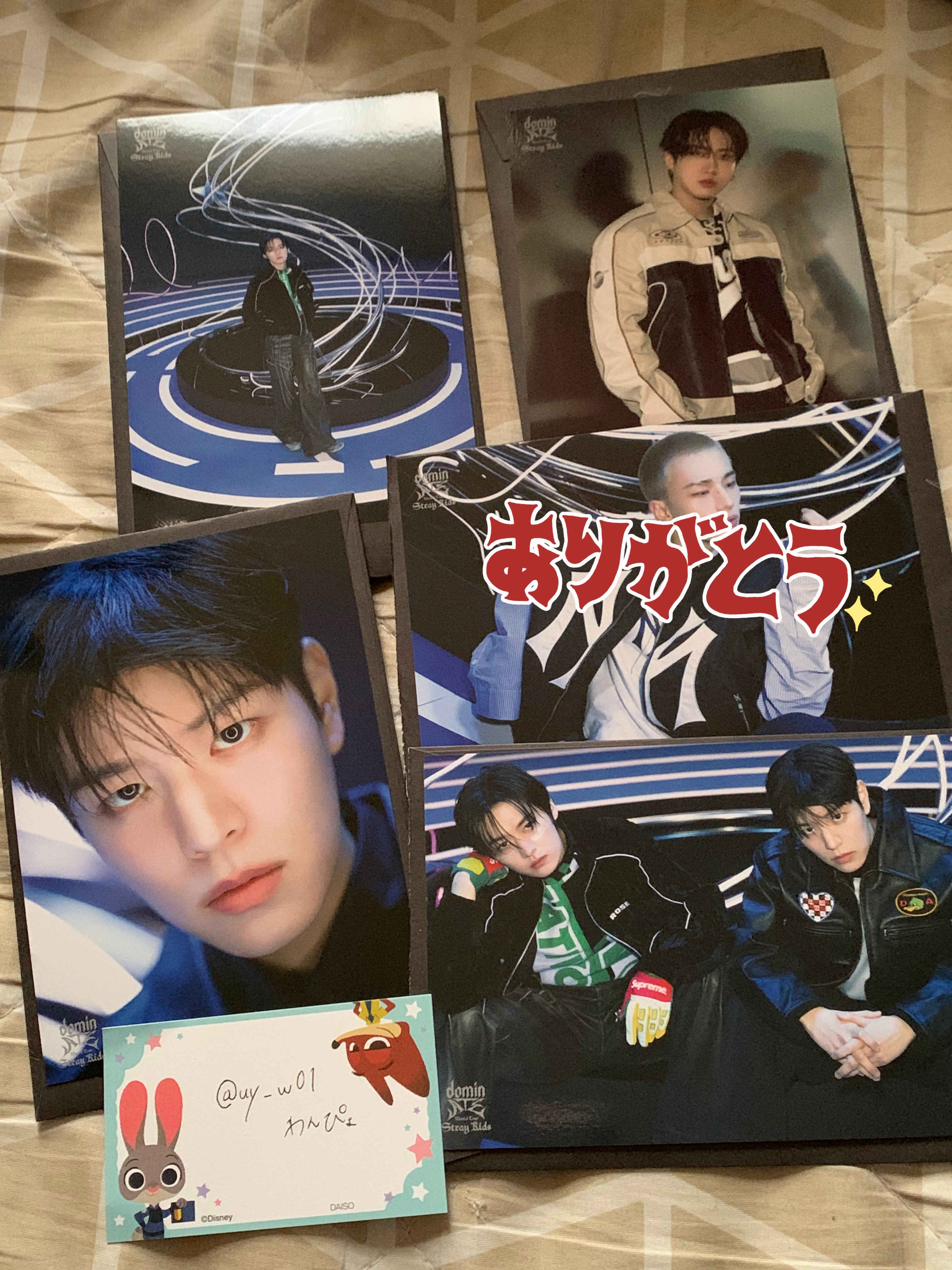 わんぴょ🐥🐿️🐰🦙♡ on X: 