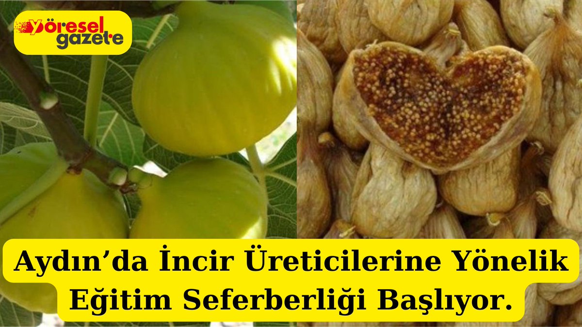yoreselgazete.com/incir-ureticil…