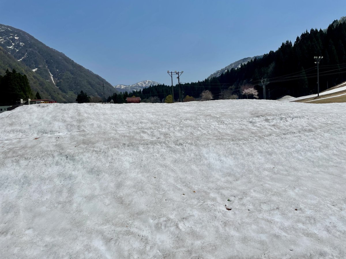 uduki_monroe's tweet image. 残雪のGelände

隣の貯水池には桜の花筏

❄️&amp;amp;🌸
今だけのcollaboration

山の気を皆さまへ

清々しい4月last Saturday 

#latespring