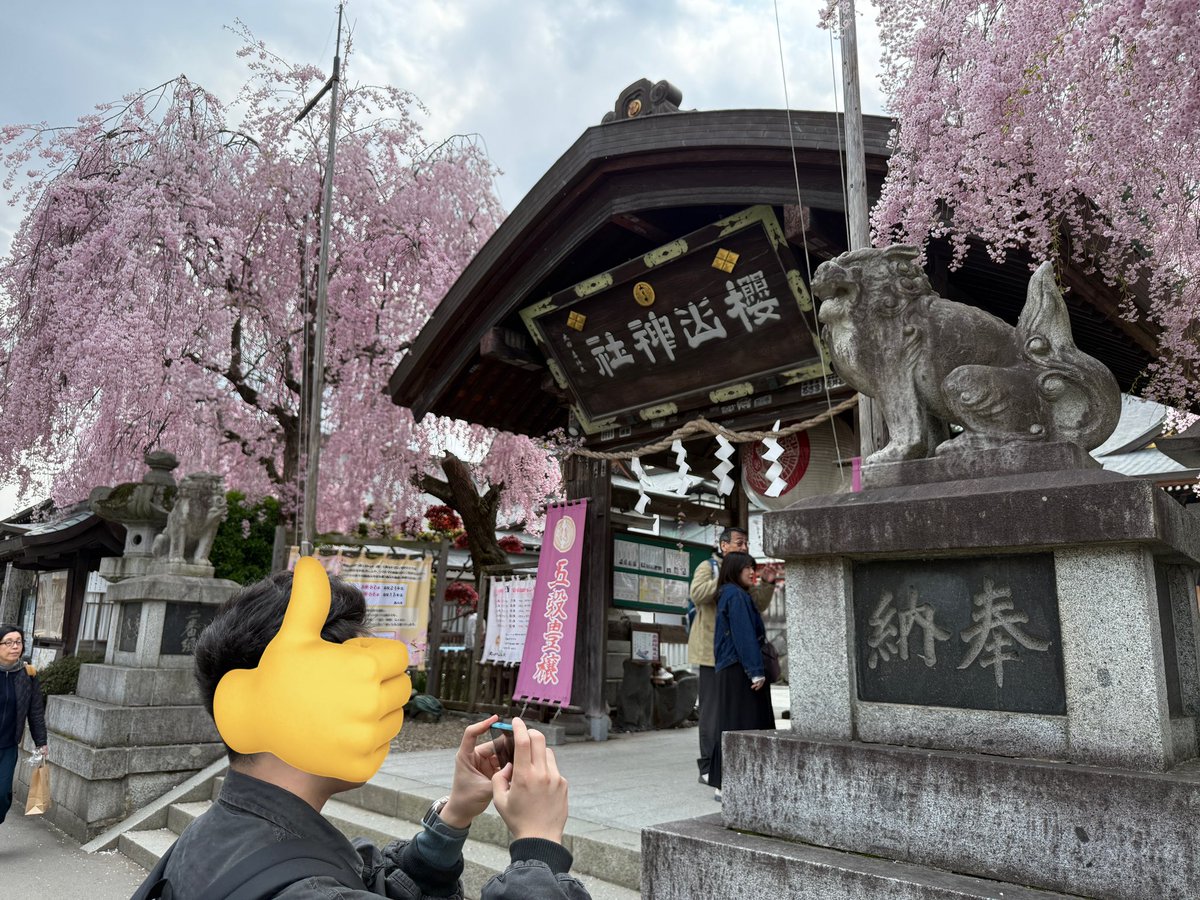 ryo_msty52's tweet photo. もりおかも散り始め https://t.co/6XRycAbhJ2