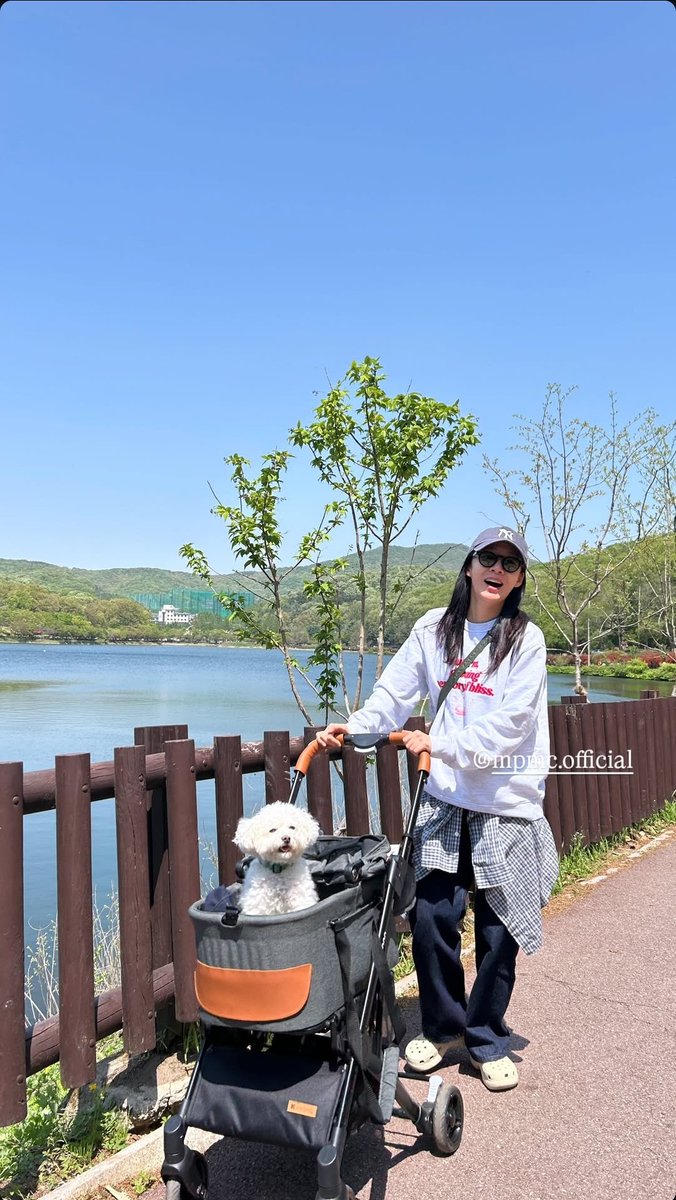 20250426 이진희배우님 인스타그램(@ zxcjini) 스토리

#이진희 #이진희아카이브