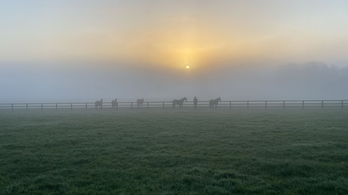 It’s always darkest before the dawn. Enjoy and have a good day 🙏🙏🌞🌞