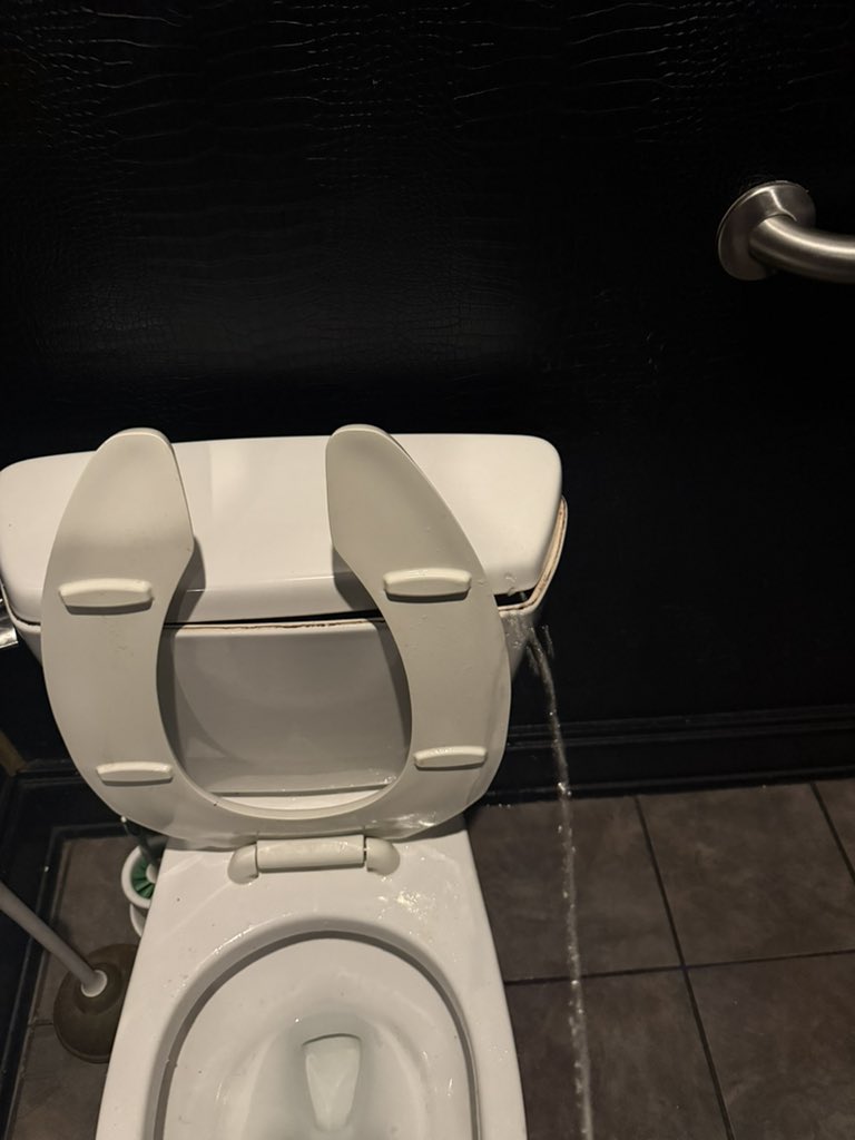 lavishlounger's tweet image. #Freethrow